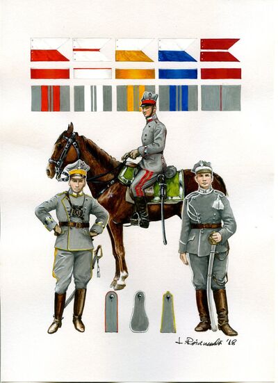 Kawaleria
(przykłady mundurów wg Przepisu ubiorczego dla kawalerii, wprowadzonego 8 lutego 1919 r.)
1.	Barwy noszone na proporczykach, otokach czapek i lampasach spodni pułków ułańskich: 1 – 4.
2.	Podporucznik 1 pułku Ułanów Wielkopolskich w mundurze paradnym; czaprak i kapy na sakwy d. pruskiego 1 Pułku Strzelców Konnych Królowej (Regiment Königs-Jäger-zu Pferde Nr. 1), Poznań, 3 maja 1919 r.
3.	Rotmistrz 3 pułku Ułanów Wielkopolskich.
4.	Starszy ułan 2 pułku Ułanów Wielkopolskich.
5.	Różne kształty naramienników w pułkach ułańskich Wojsk Wielkopolskich.