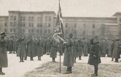 Gen. Dowbór-Muśnicki wręcza sztandar 1. Pułkowi Strzelców Wielkopolskich, 4 lutego 1919