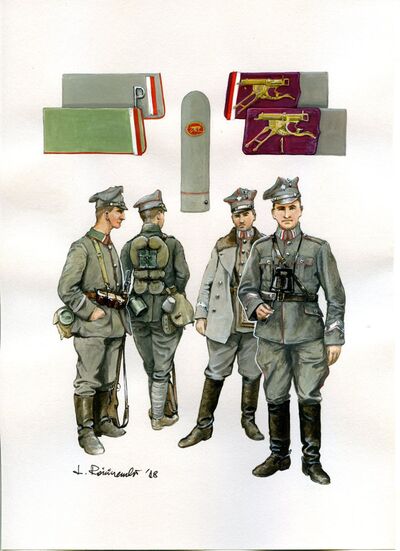 Piechota
(przykłady mundurów wg Przepisu ubiorczego z 21-22 stycznia 1919 r. i oznaki wprowadzane późniejszymi rozkazami)
1.	Oficerowie 1 i 7 pułku Strzelców Wielkopolskich w mundurach polowych: letnim i zimowym, 1919 r.
2.	Szeregowi w mundurach i oporządzeniu polowym z okresu jw. (por. rys. 3.2).
3.	Patki na kołnierze kurtek oddziałów piechoty: 3.1. bez wymaganego Przepisem numeru pułku, 3.2. 1 Poznańskiego Pułku Garnizonowego, 25 października 1919 r., 3.3. oddziału zapasowego ckm i batalionu celnych strzelców ckm, wprowadzone rozkazem Dowództwa Głównego 9 sierpnia 1919 r.
4.	Oznaka specjalności w ramach pułku żołnierzy obsługi ciężkich karabinów maszynowych, 1 lutego 1919 r.