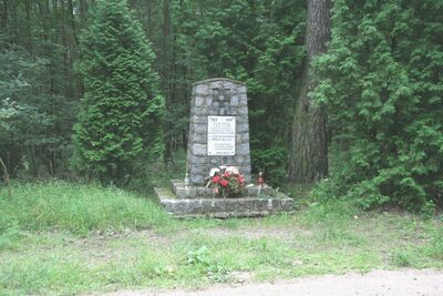 Pomnik poległych żołnierzy koło Trzebani pod Kąkolewem (fot. P. Anders)