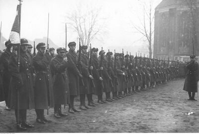 Obchody rocznicy Powstania Wlkp. 1928 (NAC)