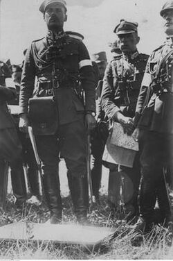 płk Władysław Anders