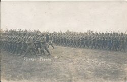 Rewia wojsk na Ławicy (WMN)