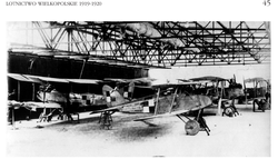 The two-seater escort aircraft – Halberstadt Cl.II- No. SLŁ 208/18 in a hangar in Ławica.
As well as this plane, there are also: an Albatros C.Ia No. SLŁ 126/17 and an Albatros C.VII. Photo from the collection of Priest Robert Kulczyński SDB